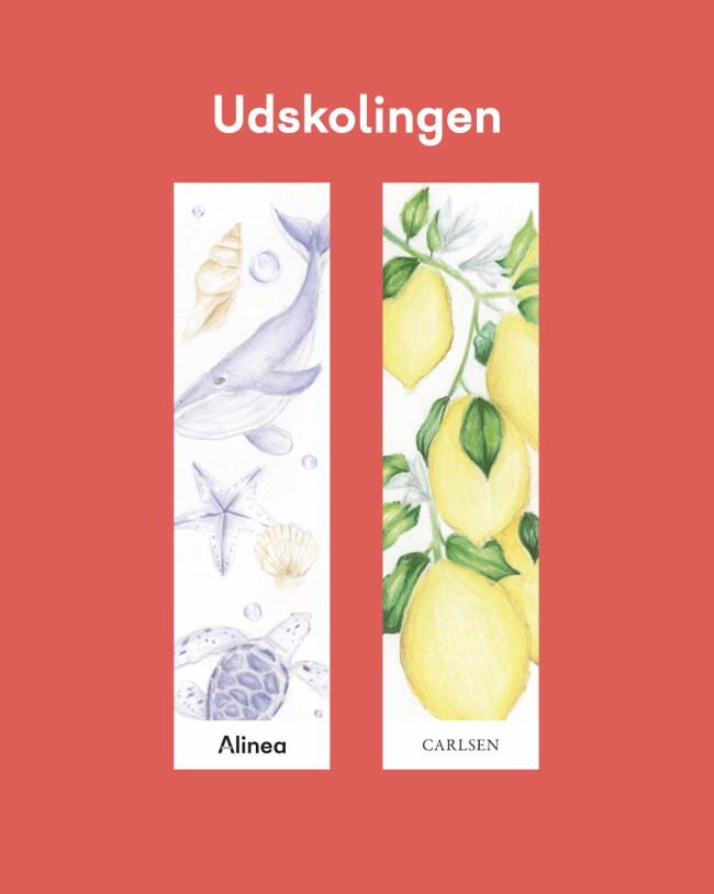 7. klasse fra Grønnevang skole i Hillerød